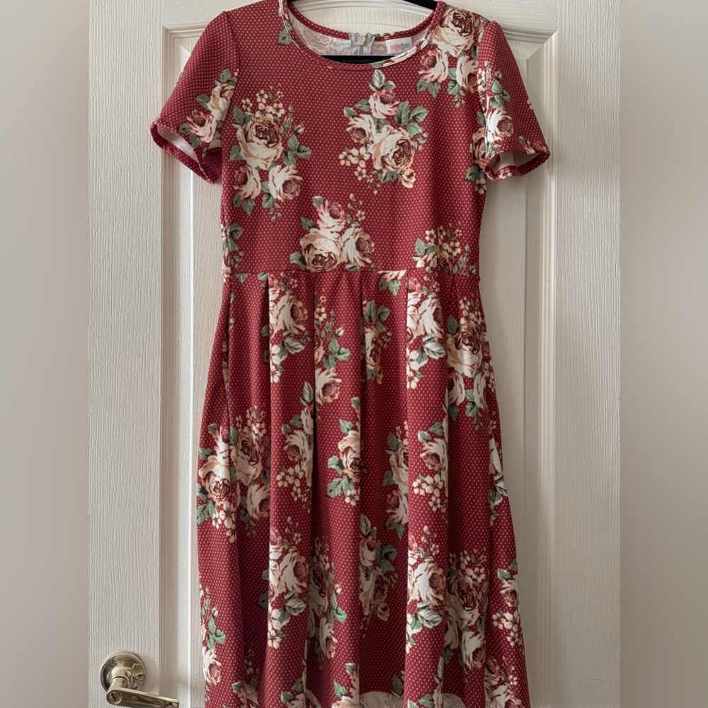 HTF EUC LuLaRoe Amelia L